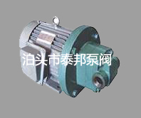 RYB電動(dòng)內(nèi)嚙合齒輪泵